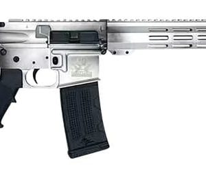 Great Lakes Firearms and Ammunition AR-15 Aluminum/SS .223 Wylde 16" Barrel 30-Rounds