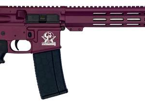 Great Lakes Firearms and Ammunition AR15 Black Cherry .223 Wylde 16" Barrel 30-Rounds
