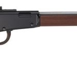 Henry Repeating Arms Small Game Walnut .22 Mag 20.5" Barrel 12-Rounds