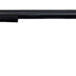 Heritage Firearms Rough Rider Black Pearl Grips .22 LR 16" Barrel 6-Rounds