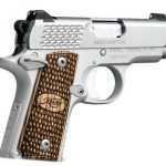 Kimber Micro 9 Raptor Stainless 9mm 3.15" Barrel 6-Rounds