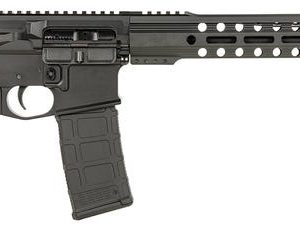 Live Free Armory Battle Rifle Lite 5.56 16" Barrel 30-Rounds