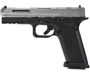 Lone Wolf Distributors LTD17 V2 RMR 9MM 4" Stainless Barrel 17 Rounds Full Size