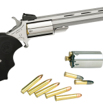 North American Arms Mini-Master Stainless .22 Mag / .22 LR 4" Barrel 5-Rounds