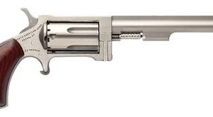 North American Arms Sidewinder Stainless .22mag 4-inch 5rd