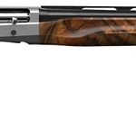Retay Arms Gordion Compact Inertia Plus Walnut / Stainless / Black 20 GA 26" Barrel 4-Rounds