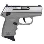 SCCY CPX-4 Gray Frame/Stainless Slide 380 ACP 2.96" Barrel 10-Rounds MS