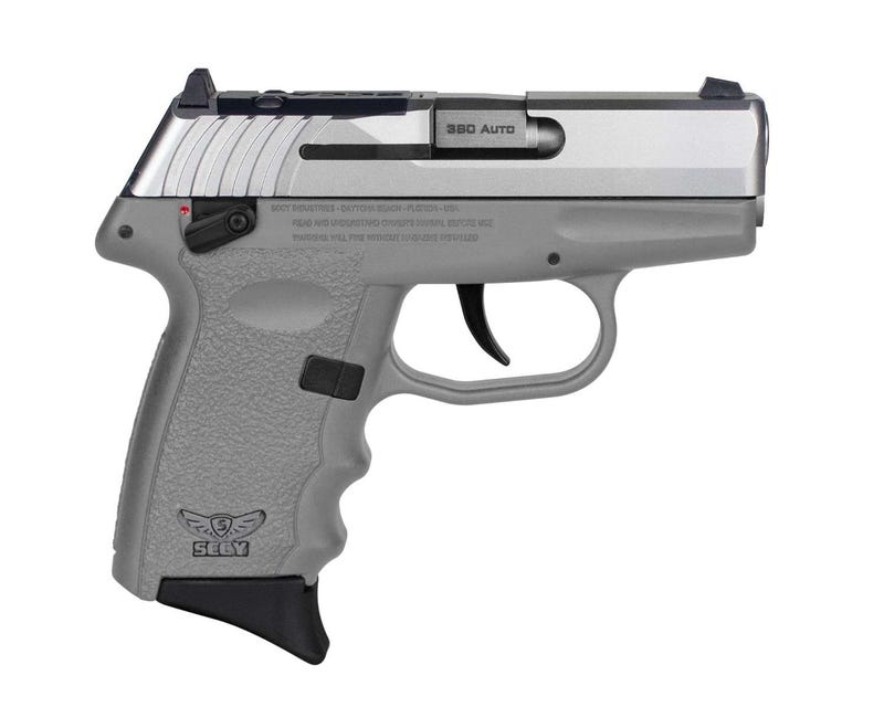 SCCY CPX-4 Gray Frame/Stainless Slide 380 ACP 2.96" Barrel 10-Rounds MS