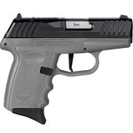 SCCY DVG-1 RDR Gray Frame/Black Slide 9mm 3.1” Barrel 10-Rounds
