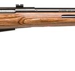 Savage 25 Lightweight Varminter-T .223 Rem 24" Barrel 4-Rounds Tan Stock