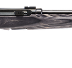 Savage A17 Target Sporter Laminate Black .17 HMR 22-Inch 10Rd