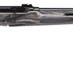 Savage A22 Matte Black .22LR 22-inch 10Rds