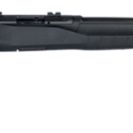 Savage B22 F .22 LR 21" Barrel 10-Rounds