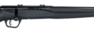 Savage B22 F .22 LR 21" Barrel 10-Rounds