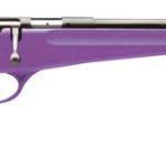Savage Rascal Purple .22 LR 16.1" Barrel 1-Rounds