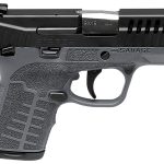 Savage Stance Gray 9mm 3.2" Barrel 8-Rounds TruGlo Sights