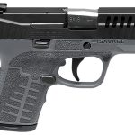 Savage Stance Gray 9mm 3.2" Barrel 8-Rounds TruGlo Night Sights