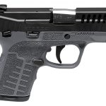 Savage Stance Gray 9mm 3.2" Barrel 10-Rounds TruGlo Night Sights