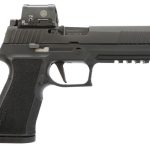 Sig Sauer P320 XTEN 10mm 5" Barrel 15-Rounds w/ Romeo2 Optic