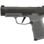 Sig Sauer P365 XL Grey 9mm 3.7" Barrel 12-Rounds X-RAY 3 Day/Night Sights