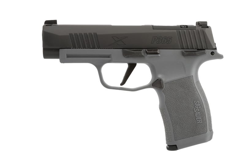 Sig Sauer P365 XL Grey 9mm 3.7" Barrel 12-Rounds X-RAY 3 Day/Night Sights