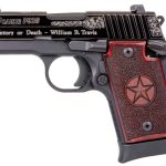 Sig Sauer P938 Texas Engraved Silver 9mm 3" Barrel 7-Rounds