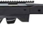 Tikka T1X ACE Target .17 HMR 20" Barrel 10-Rounds