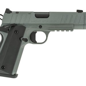 Tisas 1911 Night Stalker Comp Platinum Grey 10mm 4.25" Barrel 8-Rounds