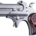 Bond Arms Cowboy Defender Stainless .380 ACP 3" Barrel 2-Rounds