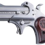 Bond Arms Cowboy Defender Stainless .22 LR 3" Barrel 2-Rounds