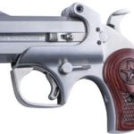 Bond Arms Texas Defender Stainless .380 ACP 3" Barrel 2-Rounds