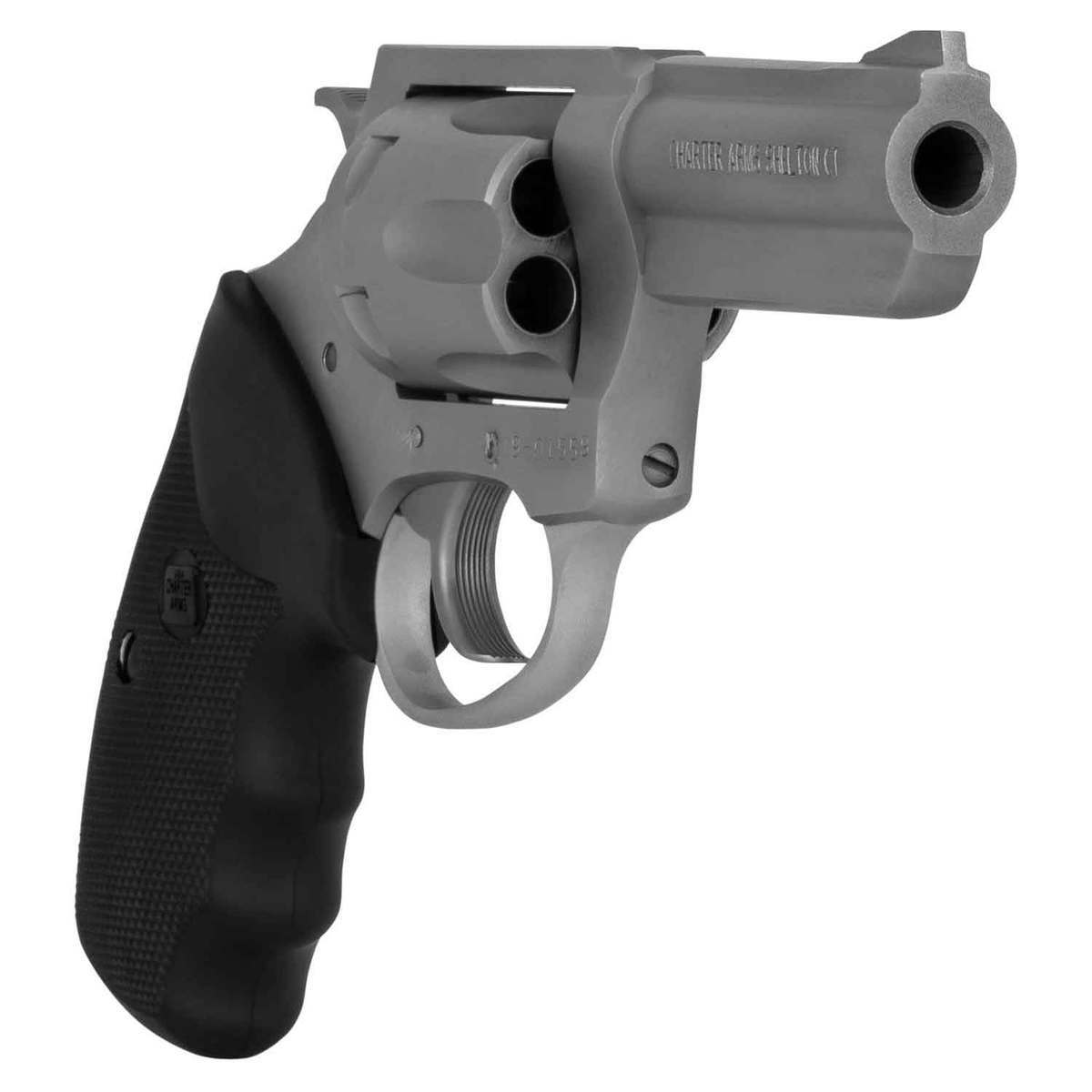 Charter Arms Pitbull 380 Auto (ACP) 3in Stainless Revolver - 6 Rounds - Image 3