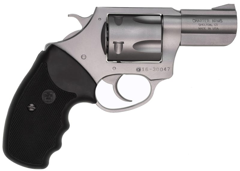 Charter Arms Pitbull Stainless .40 SW 2.3" Barrel 5-Rounds