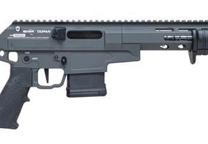 Citadel Firearms Taipan Gray .223 Rem 16.5" Barrel 10-Rounds