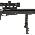 Crickett Precision .22 LR 16.12" Barrel 1-Rounds Complete Package