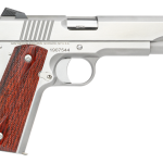 Dan Wesson Razorback Stainless 10mm 5" Barrel 8-Rounds