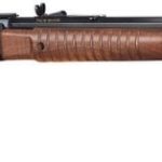 Henry Repeating Arms Pump .22 LR 20" Barrel 16-Rounds Walnut Stock