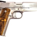 Kimber Stainless Raptor II Stainless .45 ACP 5" Barrel 8-Rounds