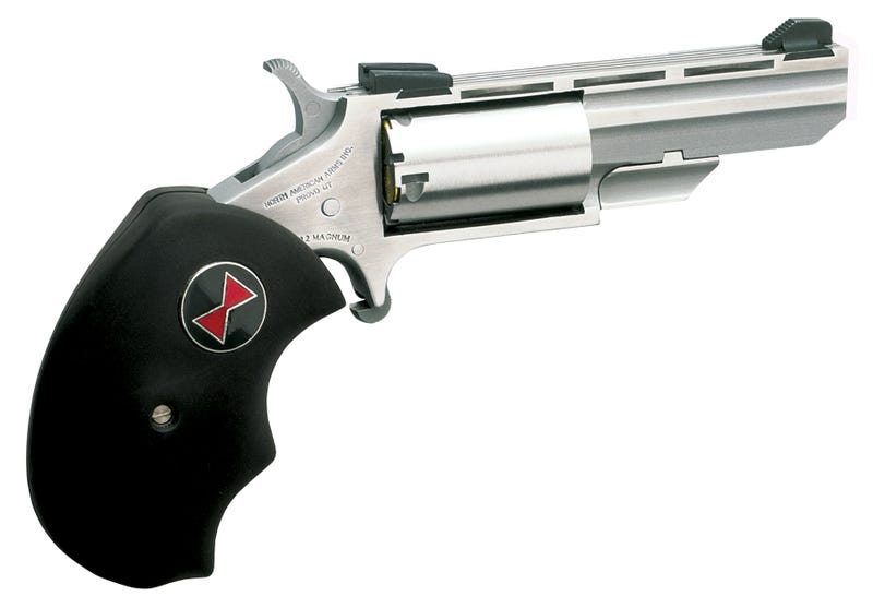 North American Arms Black Widow Stainless .22 LR 2" Barrel 5-Rounds