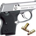 NAA Guardian Stainless .25 NAA 2.185" Barrel 6-Rounds