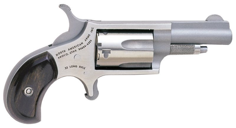 NAA Mini-Revolver Stainless .22 LR 1.625" Barrel 5-Rounds Fixed Sights