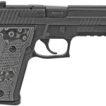 Sig Sauer P226 Full Size Extreme 9mm 4.4" Barrel 10-Rounds Night Sights