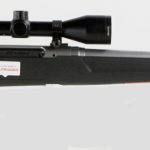 Savage Axis Ii Xp Ss Scoped .223 Rem 22 Barrel 4 Rounds