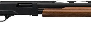 Winchester SXP Field Youth Walnut 20 GA 20" Barrel 3"-Chamber 5-Rounds