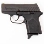 REMINGTON RM380 .380 ACP  SEMI AUTO HANDGUNS
