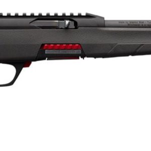 WINCHESTER WILDCAT for sale Miami Shooters Supply