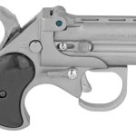 Cobra Big Bore 22 .22 Wmr 2.75 Barrel  Satin Stainless