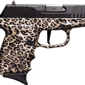 SCCY INDUSTRIES DVG-1 CB SEMI AUTO