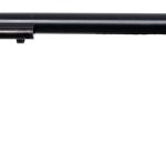 Heritage Mfg. Rough Rider .22 Lr 16 Barrel 6 Rounds Black