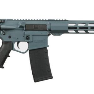 WISE ARMS 6.5 GRENDEL SEMI AUTO